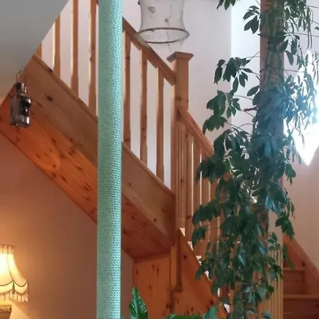 Seashells Bed & Breakfast 3*