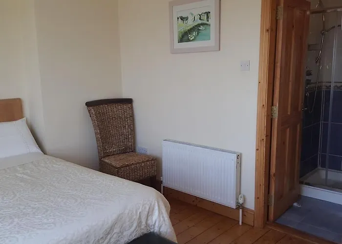 Seashells ダンキャノン